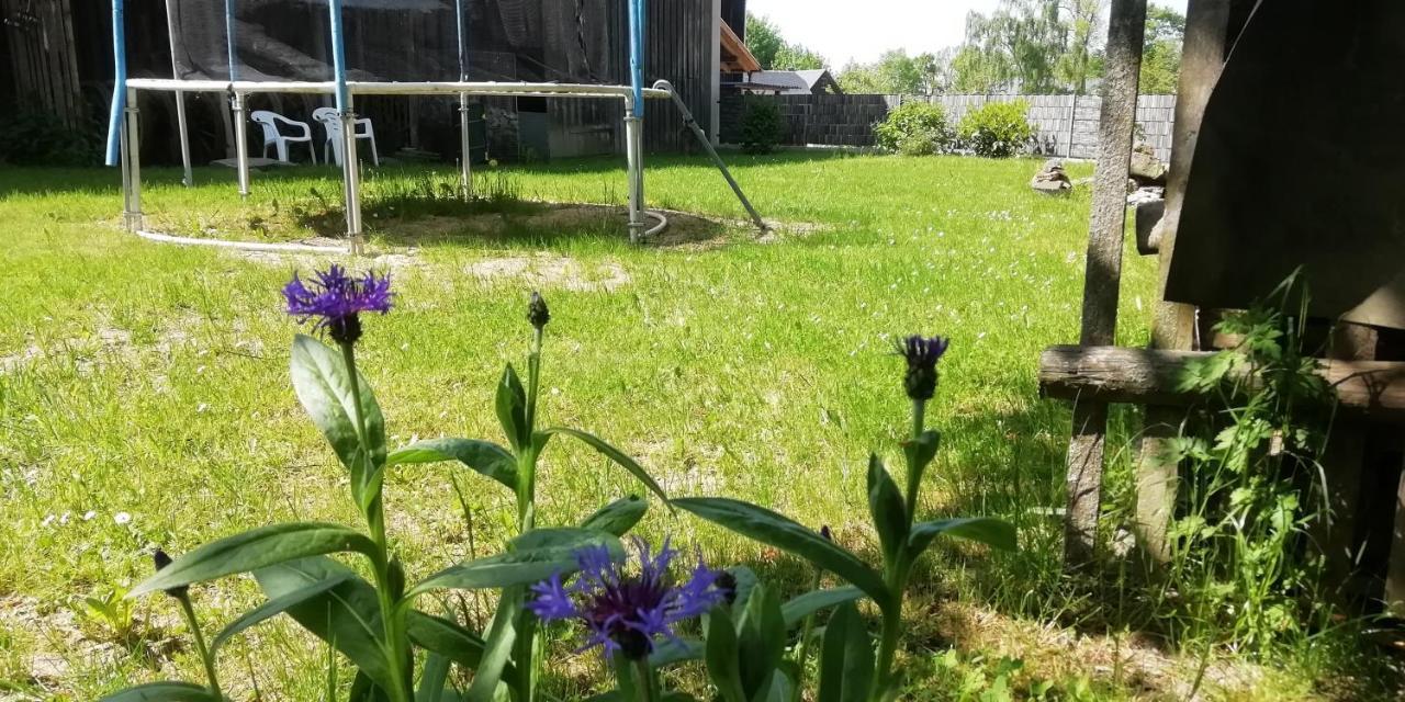 Vip-Zelten Im Garten - Camping Weischlitz Exteriör bild